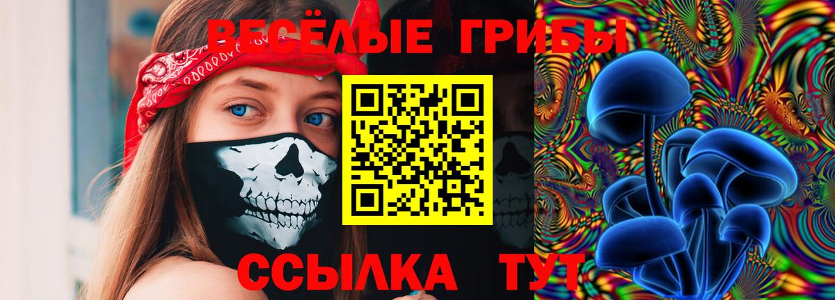 купить наркотик  Галлюциногенные грибы мицелий  Вход с VPN  Псилоцибиновые грибы Psilocybe  Ставрополь 